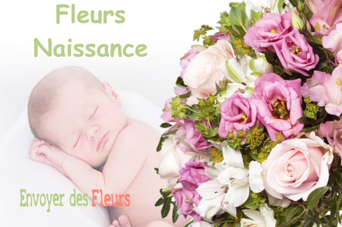 lIVRAISON FLEURS NAISSANCE à SAINT-MICHEL-LES-PORTES